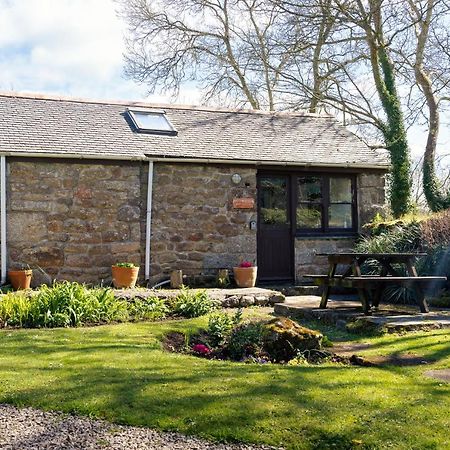 Cosy Cottage In The Beautiful Lamorna Valley - Walk To The Pub & Sea Paul Экстерьер фото